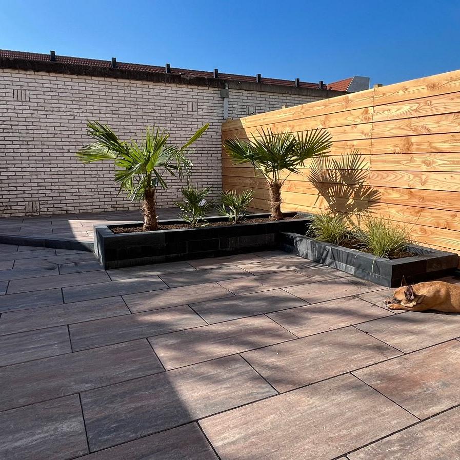 8abd35e1 0cb1 4ed2 89f1 242c40bf5c1a