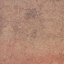 SB-2160 betontegel 30x60x4cm ★★★☆☆