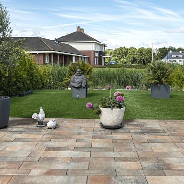 Redsun Eliton Supreme Linea banenverband 8cm Kilimanjaro