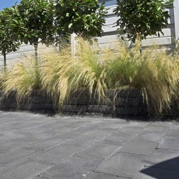 SB-1861 PROMO betonklinker getrommeld 20x30x6cm ★☆☆☆☆