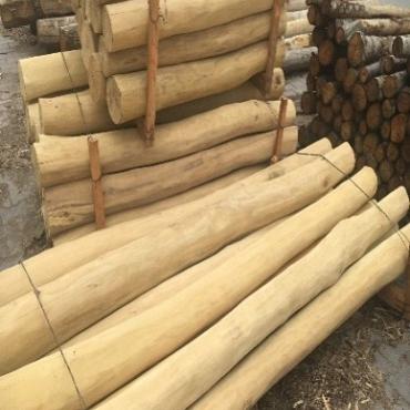 Robinia paal spintvrij Ø10-12x250cm