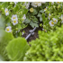 Gardena 13218 micro-drip-system buishouder 1/2"