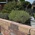 SB-2043 beton muurblok  40x15x10cm ★☆☆☆☆