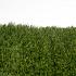 Green Delta kunstgras 400cm breed 50mm hoog