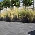 SB-1861 PROMO betonklinker getrommeld 20x30x6cm ★☆☆☆☆