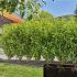 Gardena 13504 Druppelbuis onder&bovengronds 50m