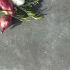 SB-2806 tegel 3+1 keramiek-op-beton  80x40x4cm ★★★★★