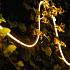 Hamulight LED-strip Serra 1 meter warmwit 12volt dimbaar (push dimmer nodig)