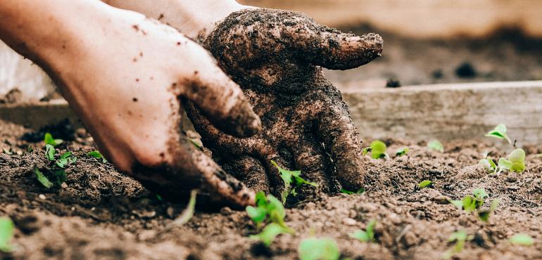 sandie clarke q13zq1jufks unsplash