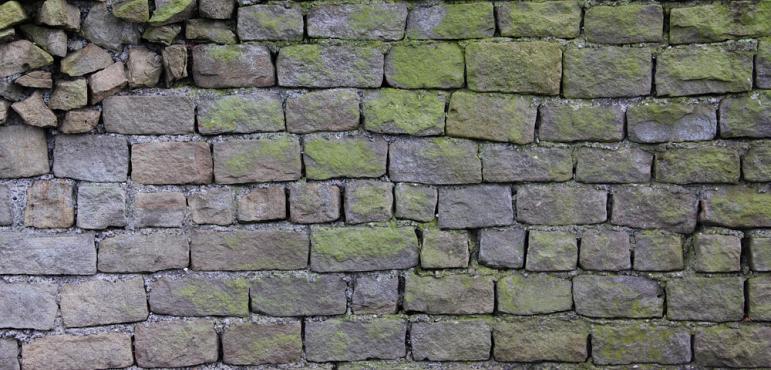 d5zvgi8 5ed75e51 e2cd 4042 866a 37a78b7debf9