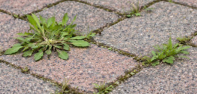 f57b3ee9 5890 4464 80eb c4f33657b0a8